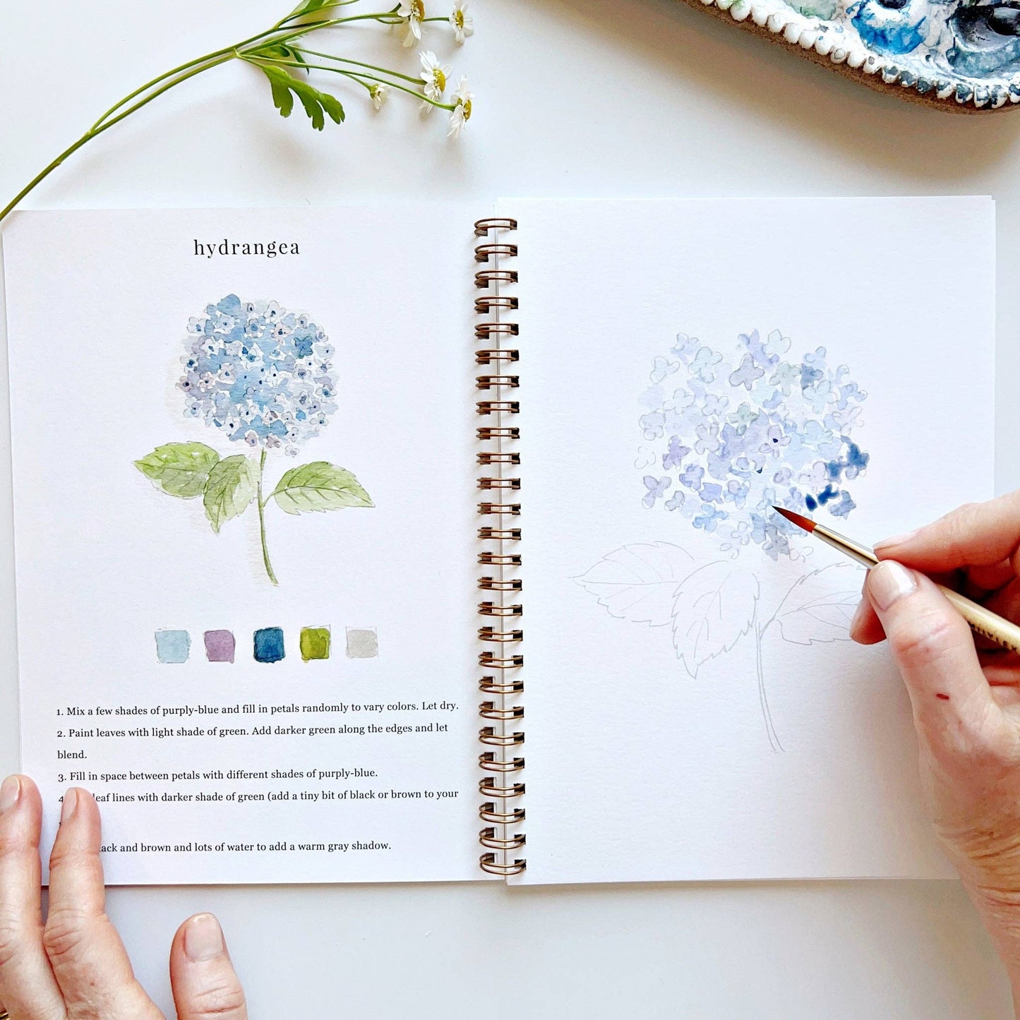 Emily Lex - Watercolor Workbook- Flowers