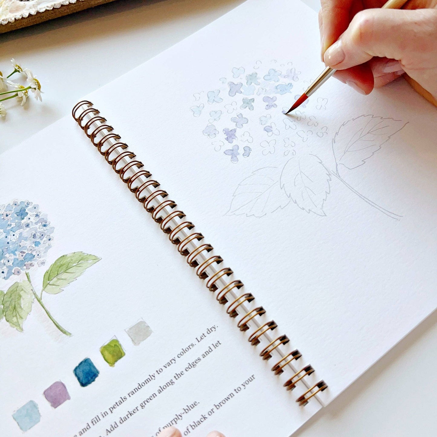 Emily Lex - Watercolor Workbook- Flowers
