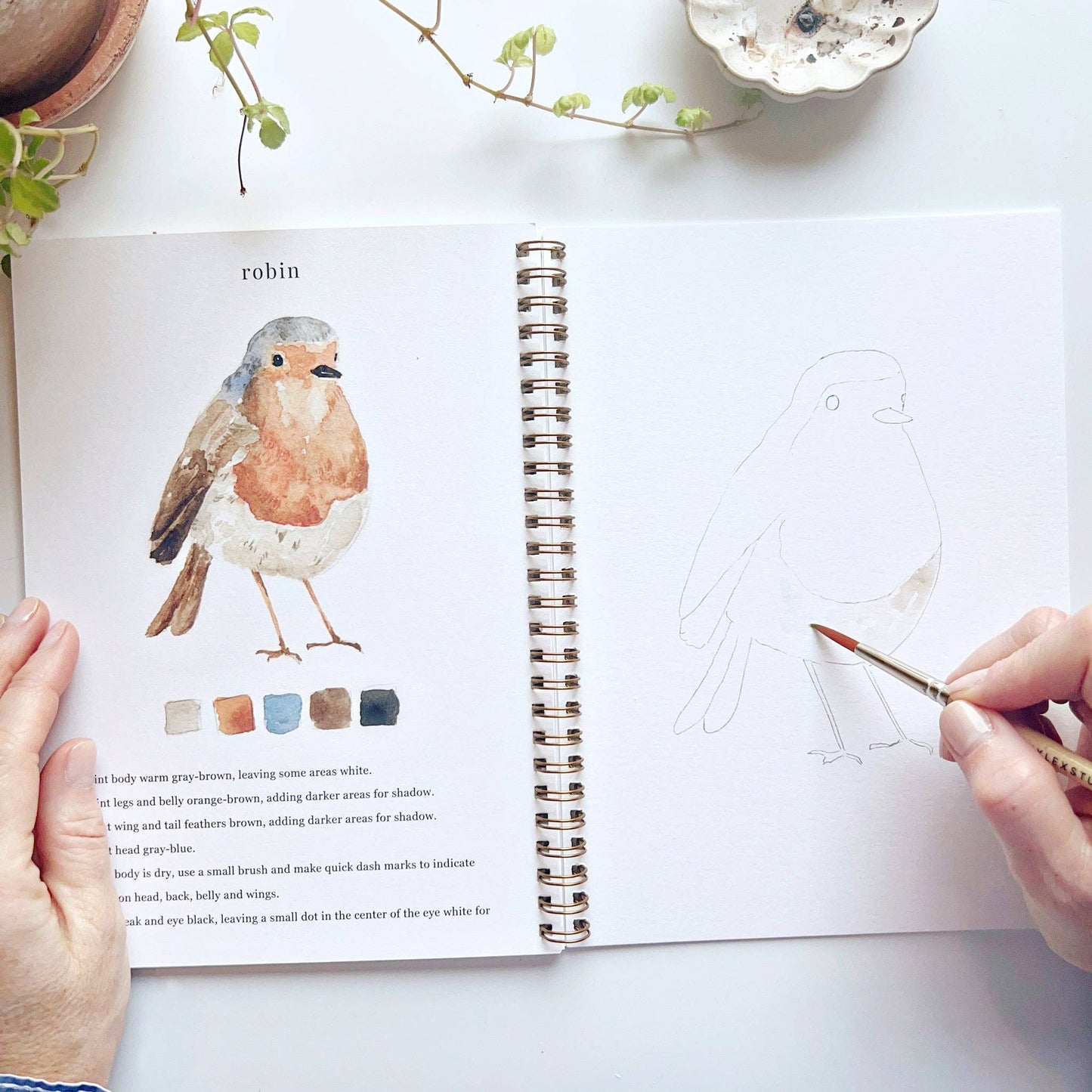 Emily Lex - Watercolor Workbook - Birds