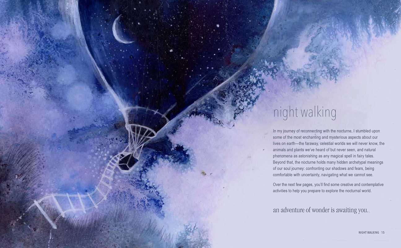 Magical Night Journey by Amy T Won