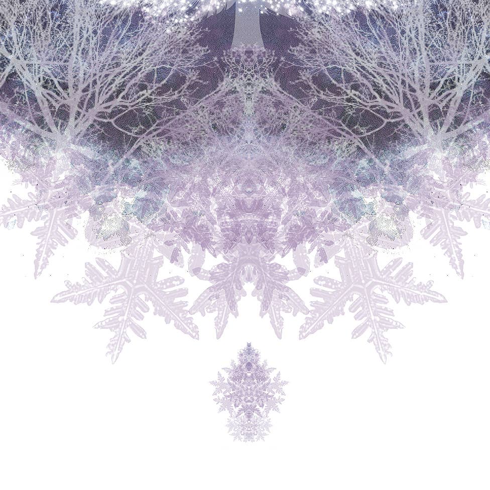 Starry Night - Holiday Card