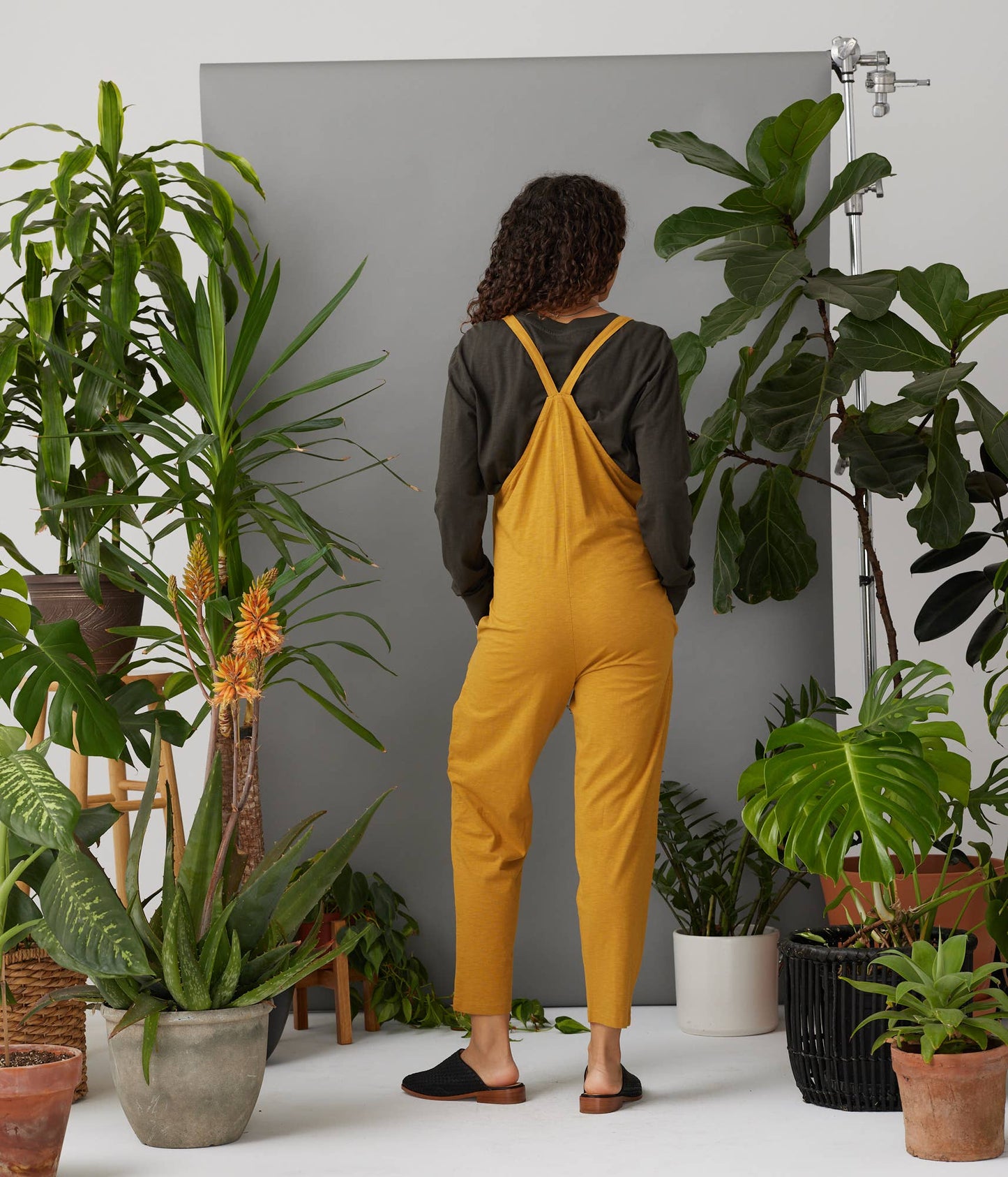 Cadence Overall: Rust / XS