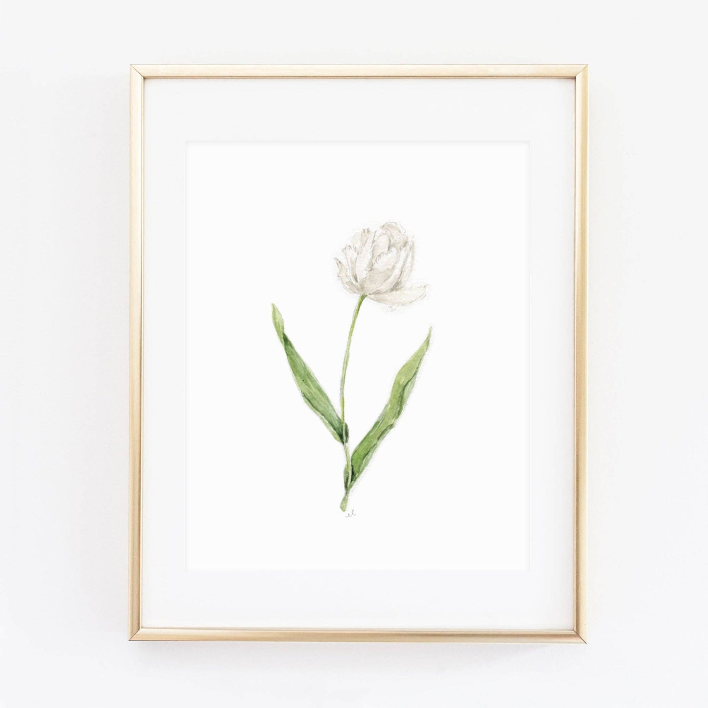 White tulip art print