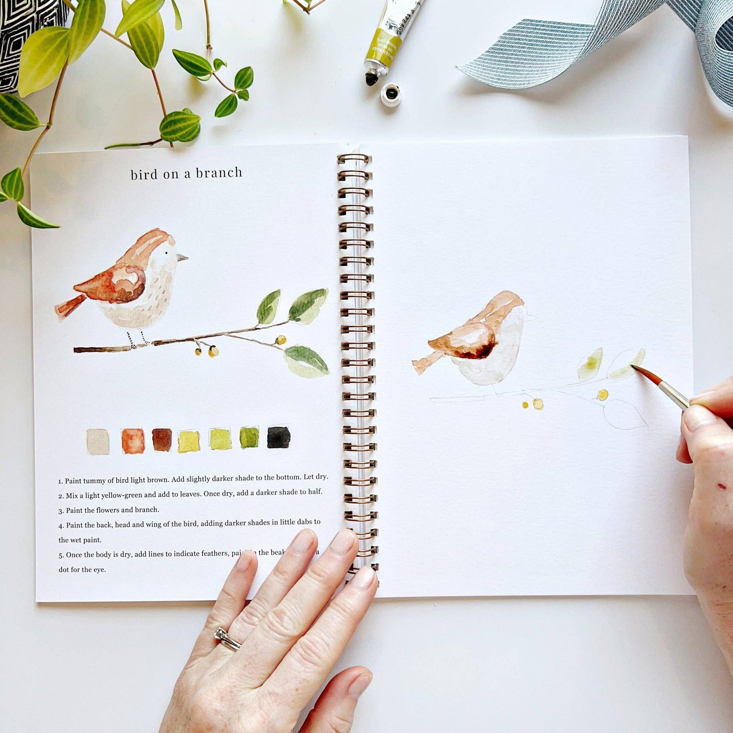 Emily Lex - Watercolor Workbook - Animals