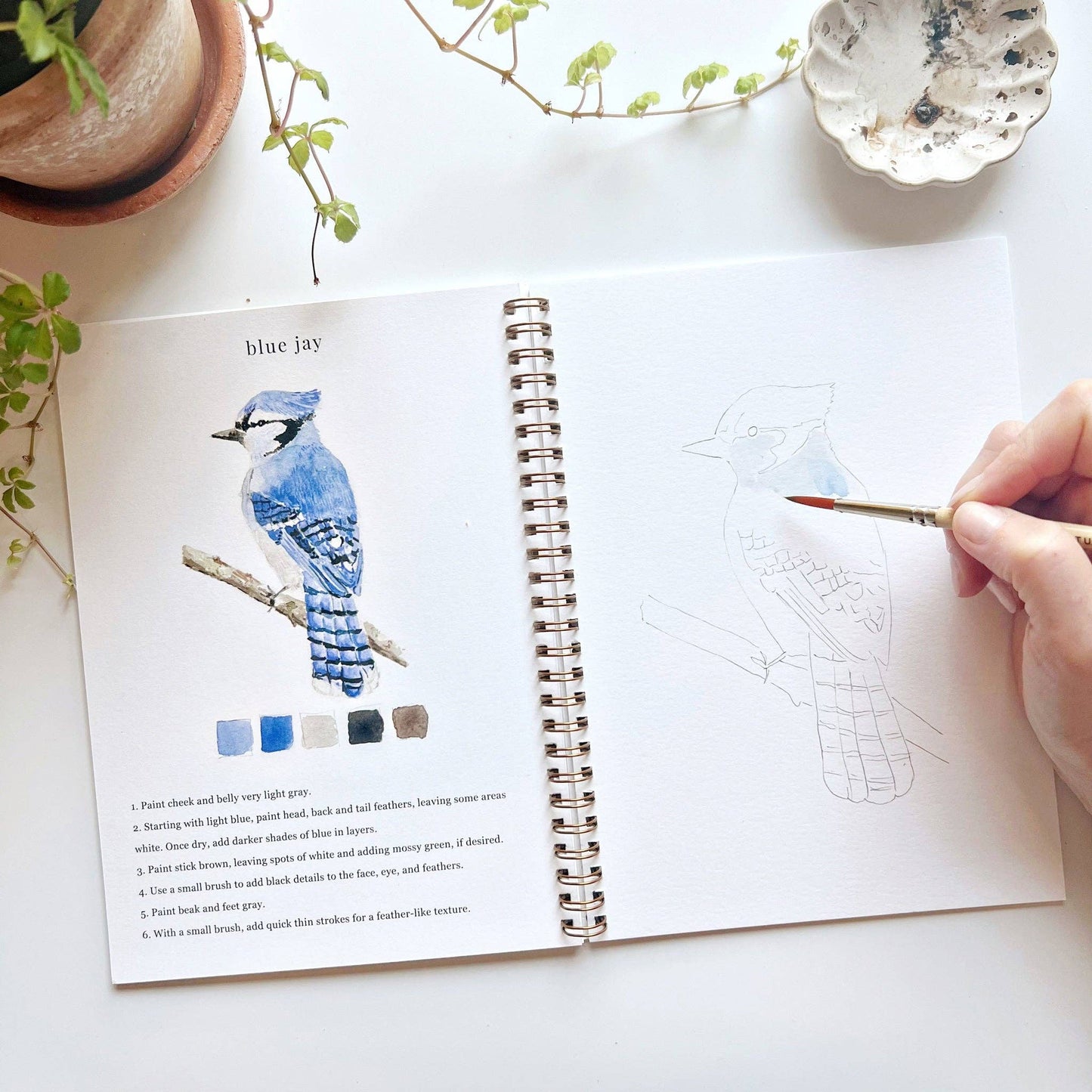 Emily Lex - Watercolor Workbook - Birds