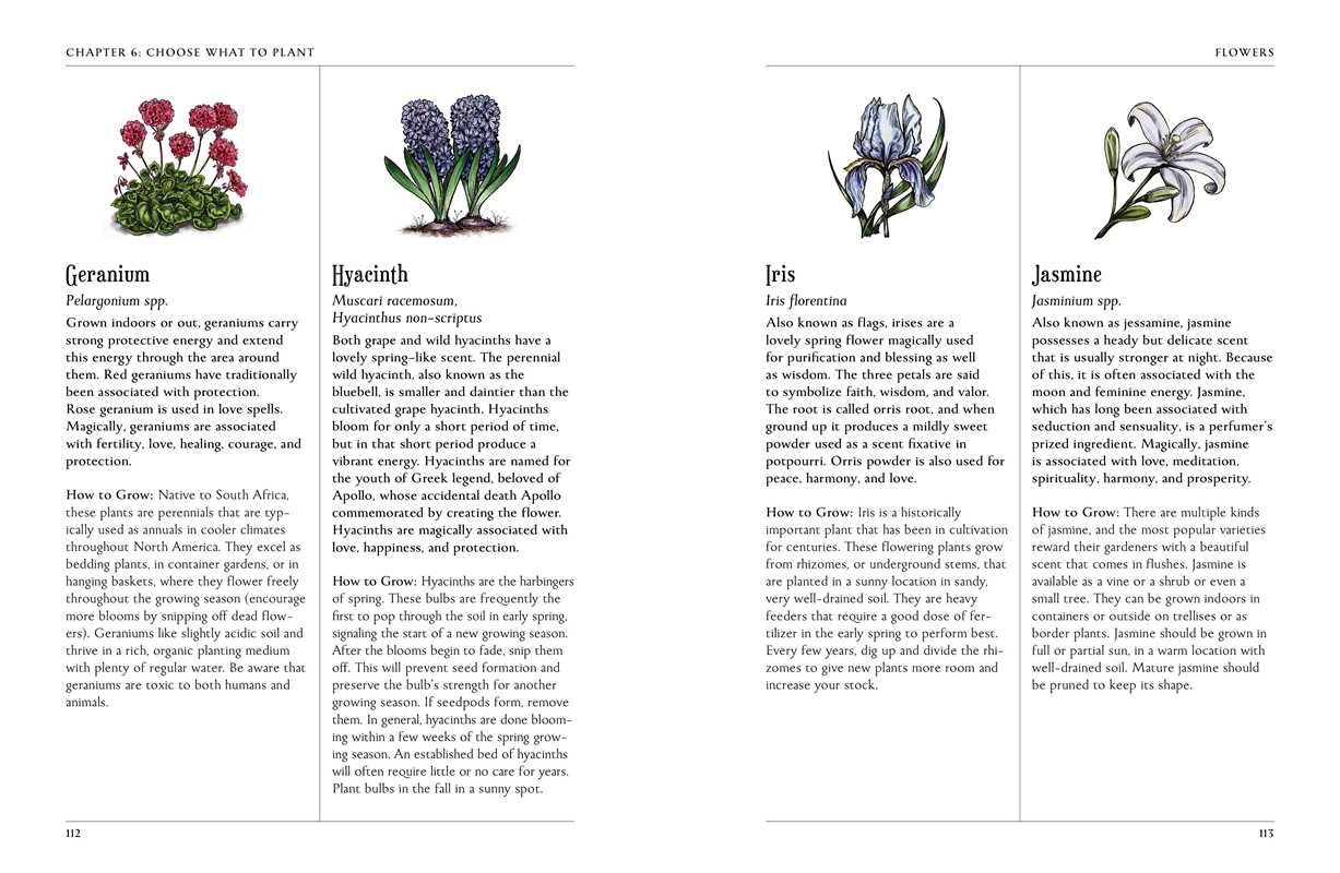 Green Witch's Garden by Arin Murphy-Hiscock: Hardcover; 224 pages / English