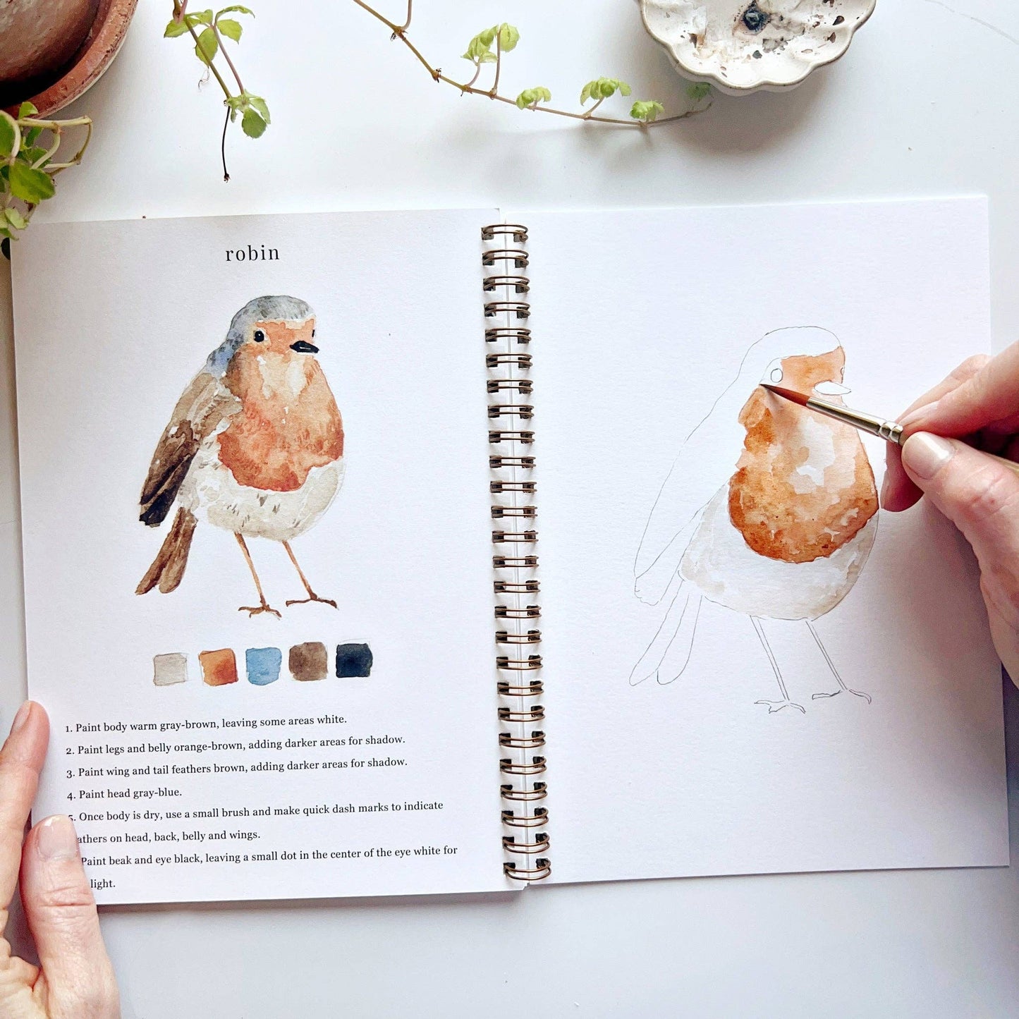 Emily Lex - Watercolor Workbook - Birds