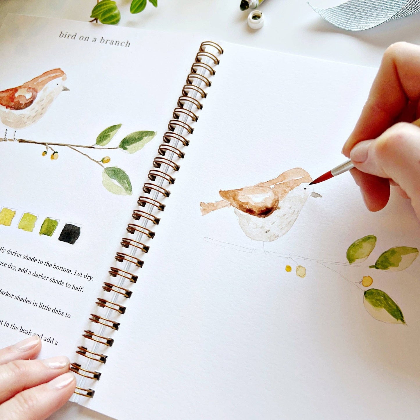 Emily Lex - Watercolor Workbook - Animals