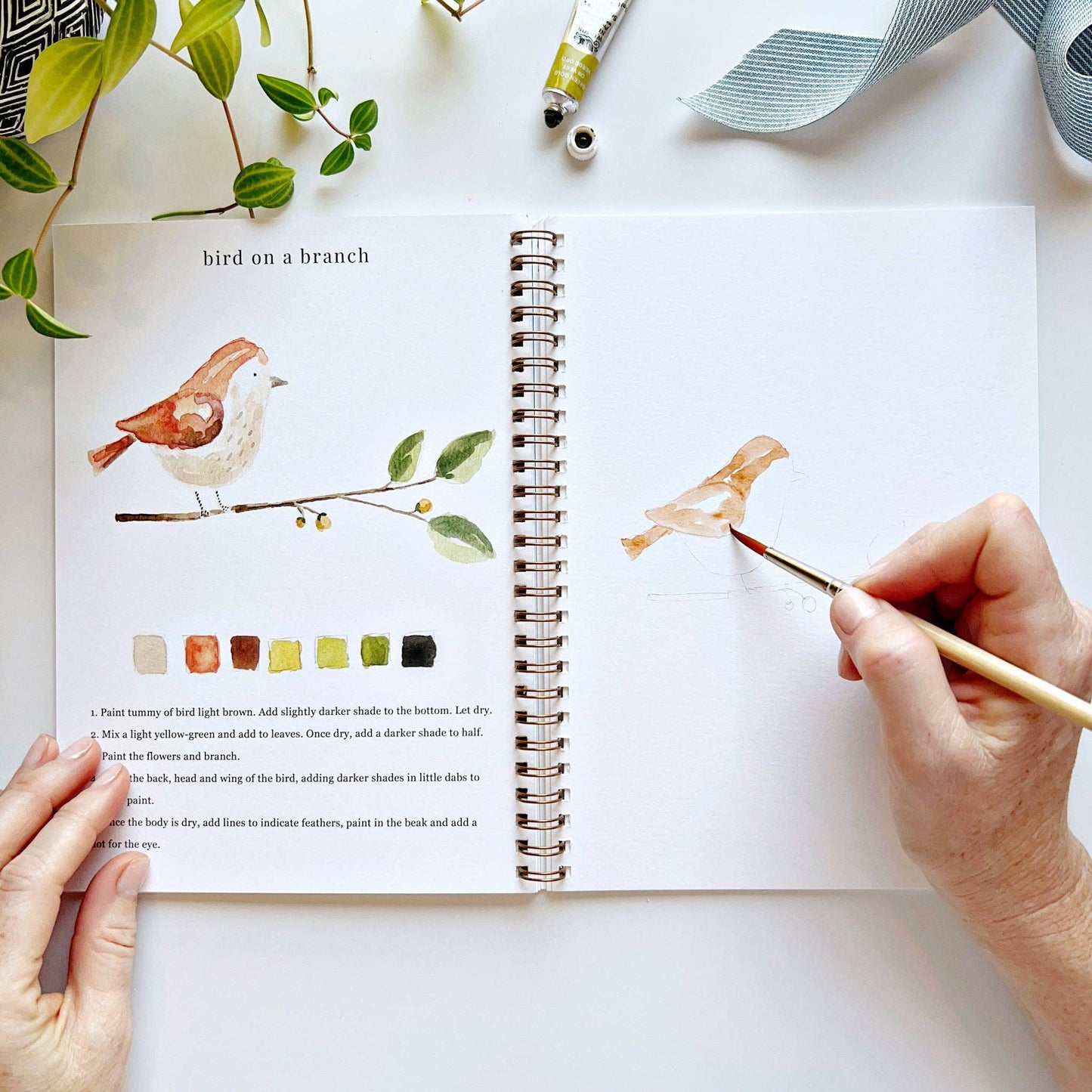 Emily Lex - Watercolor Workbook - Animals