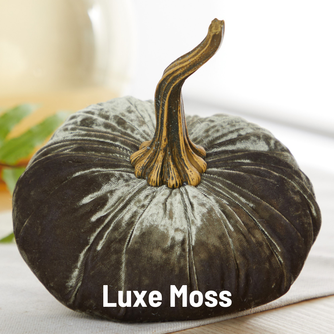 Your Heart's Content - USA Made - Pumpkin Large Velvet, Fall Decor: Luxe Clover Green