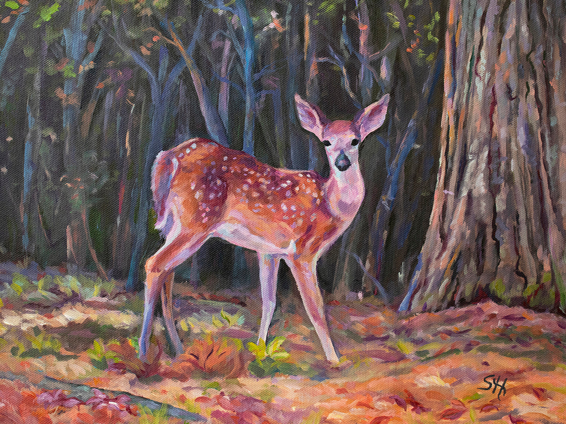 Curious Fawn - Original Acrylic Painting