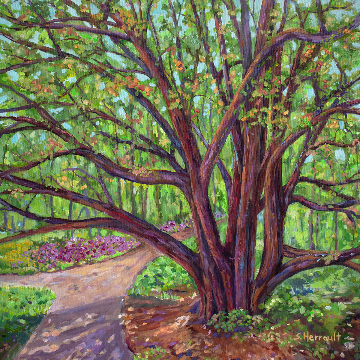 The Thinking Tree - Original Acrylic Painting