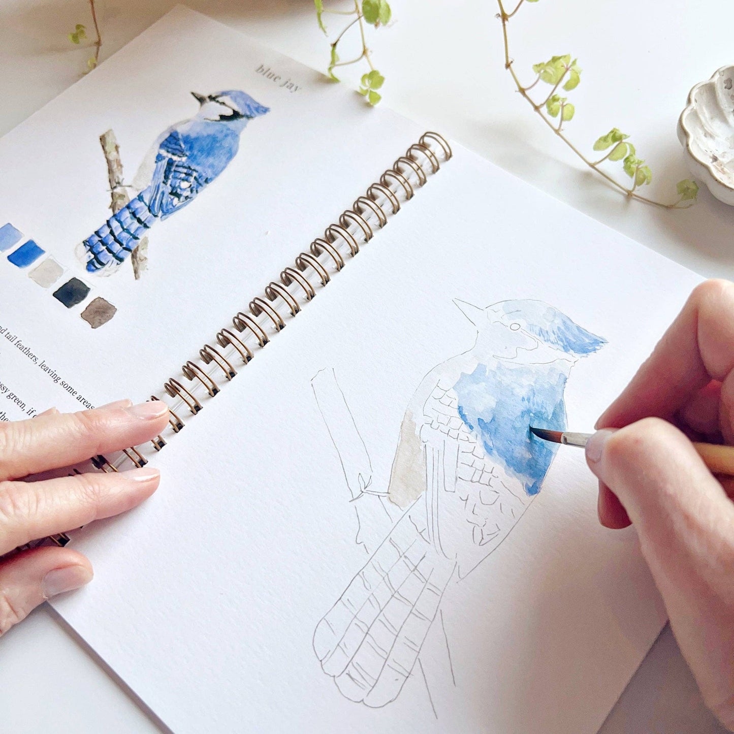 Emily Lex - Watercolor Workbook - Birds