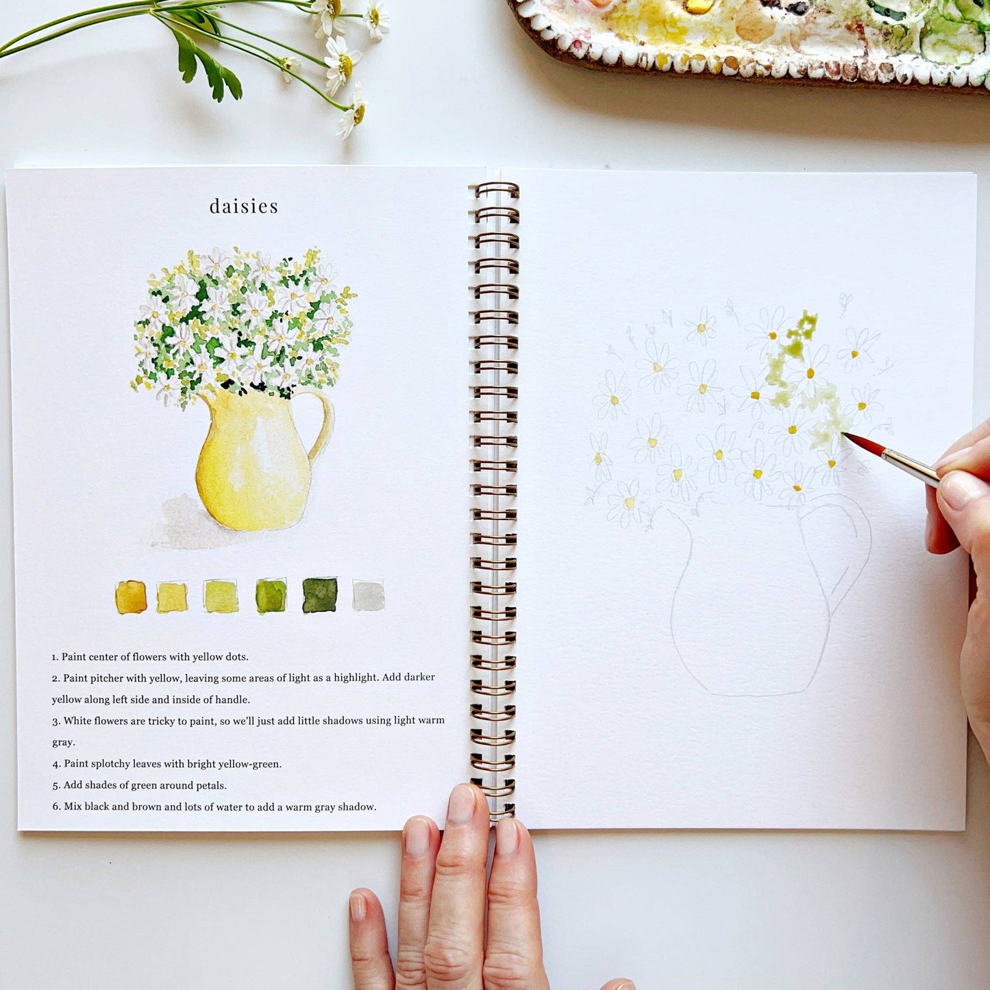Emily Lex - Watercolor Workbook- Flowers