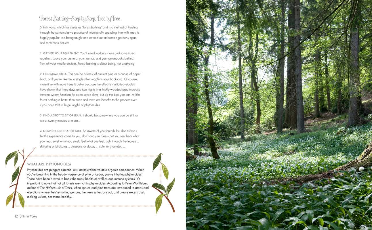 Green Cure by Alice Peck: Paperback; 144 pages / English
