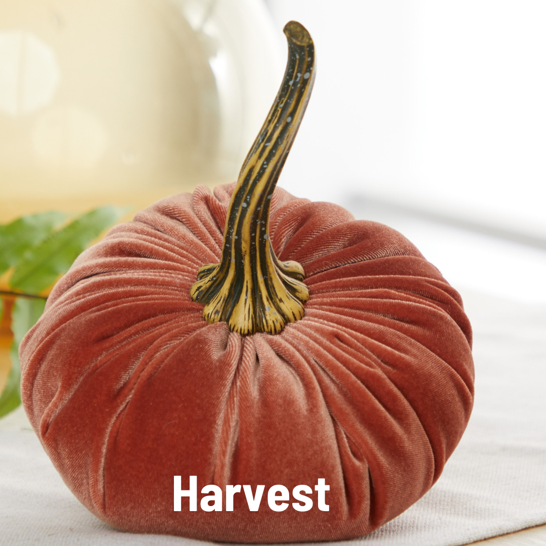Your Heart's Content - USA Made - Pumpkin Large Velvet, Fall Decor: Luxe Clover Green