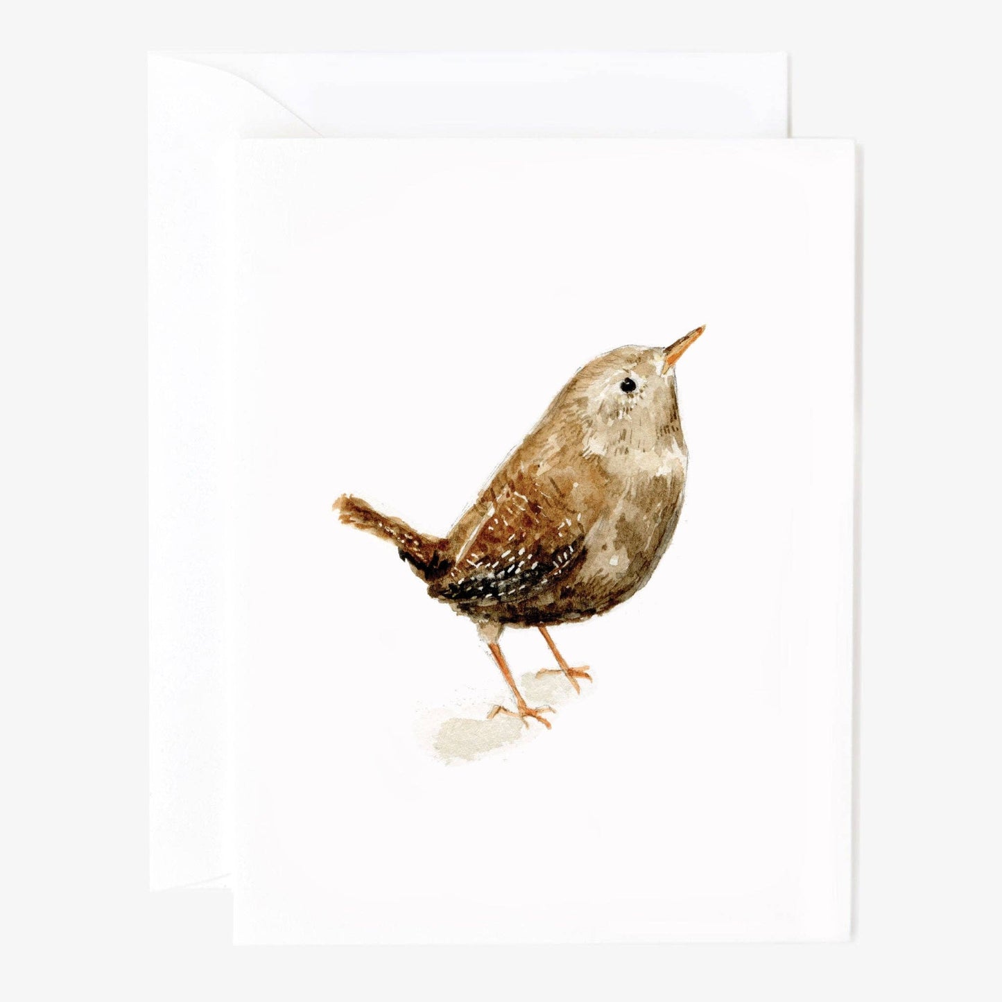 Emily Lex - Birds assorted notecard set