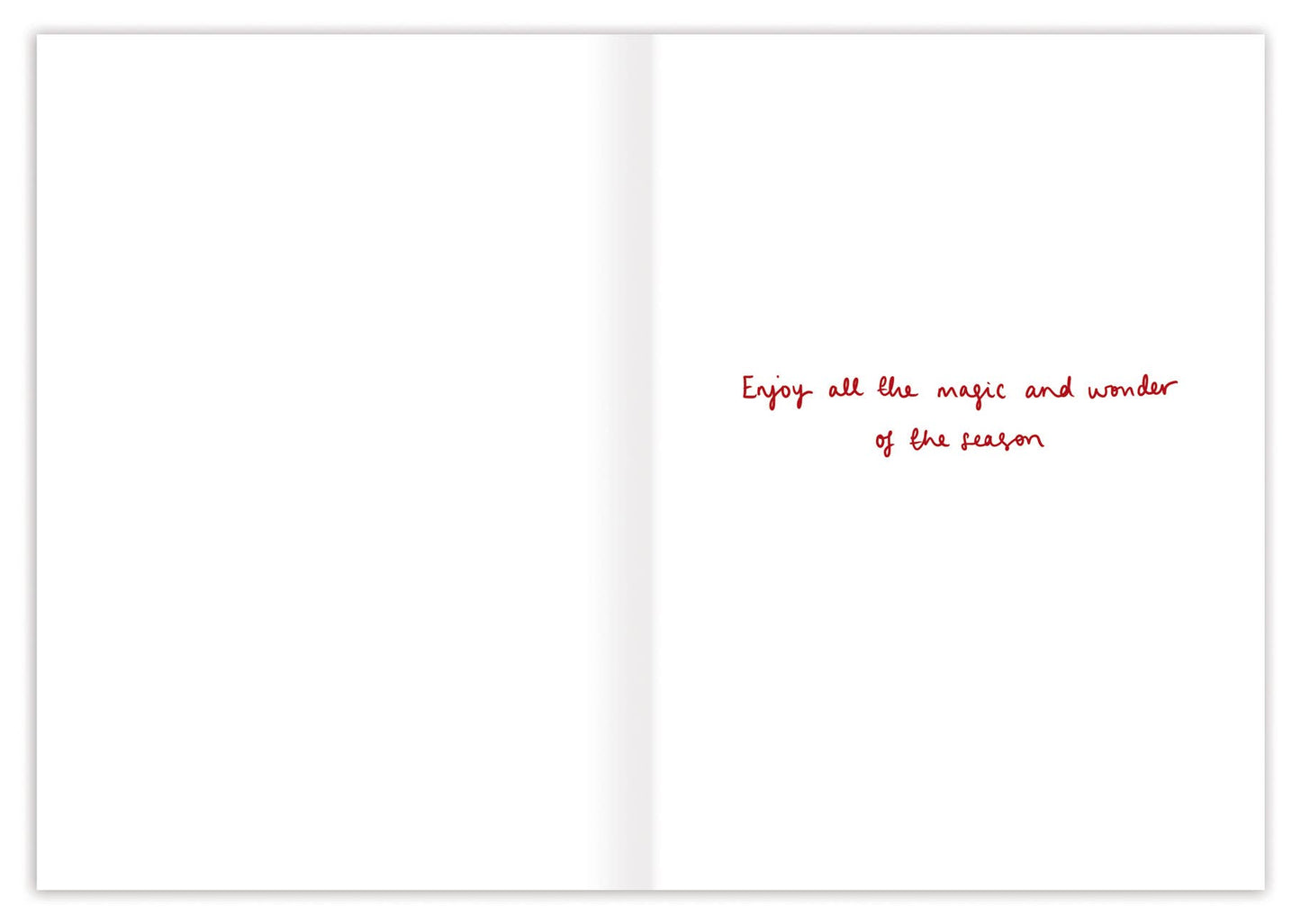 Biely & Shoaf Fox Lovely Friend Boxed Holiday Cards - Set of 10