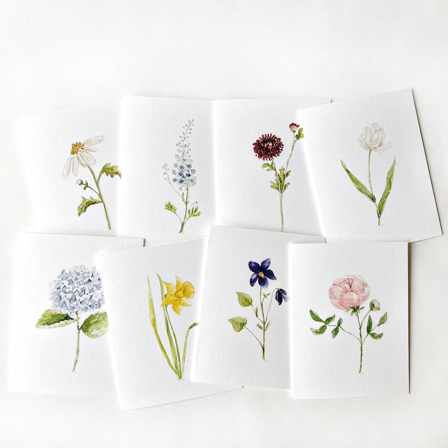 Emily Lex - Assorted garden flowers notecard set