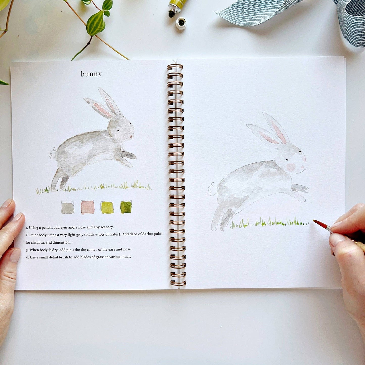 Emily Lex - Watercolor Workbook - Animals