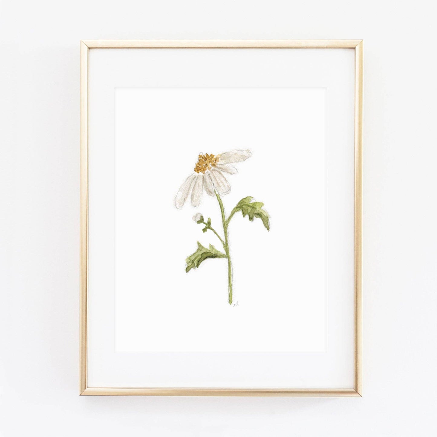 Daisy art print