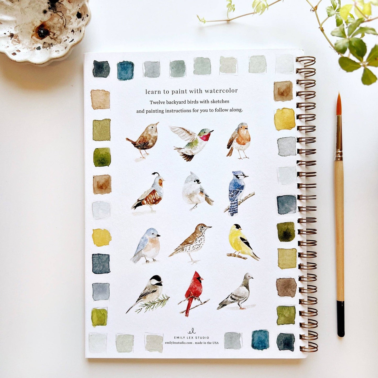 Emily Lex - Watercolor Workbook - Birds