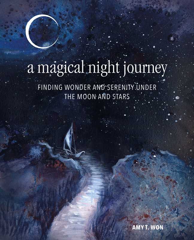 Magical Night Journey by Amy T Won
