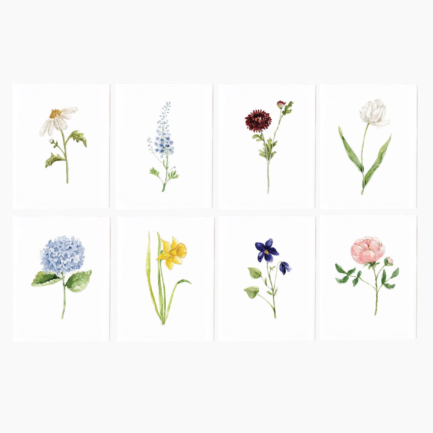 Emily Lex - Assorted garden flowers notecard set