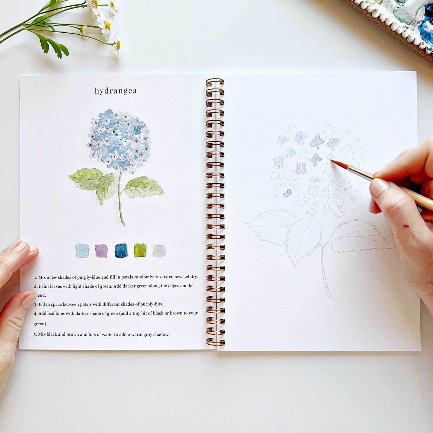 Emily Lex - Watercolor Workbook- Flowers