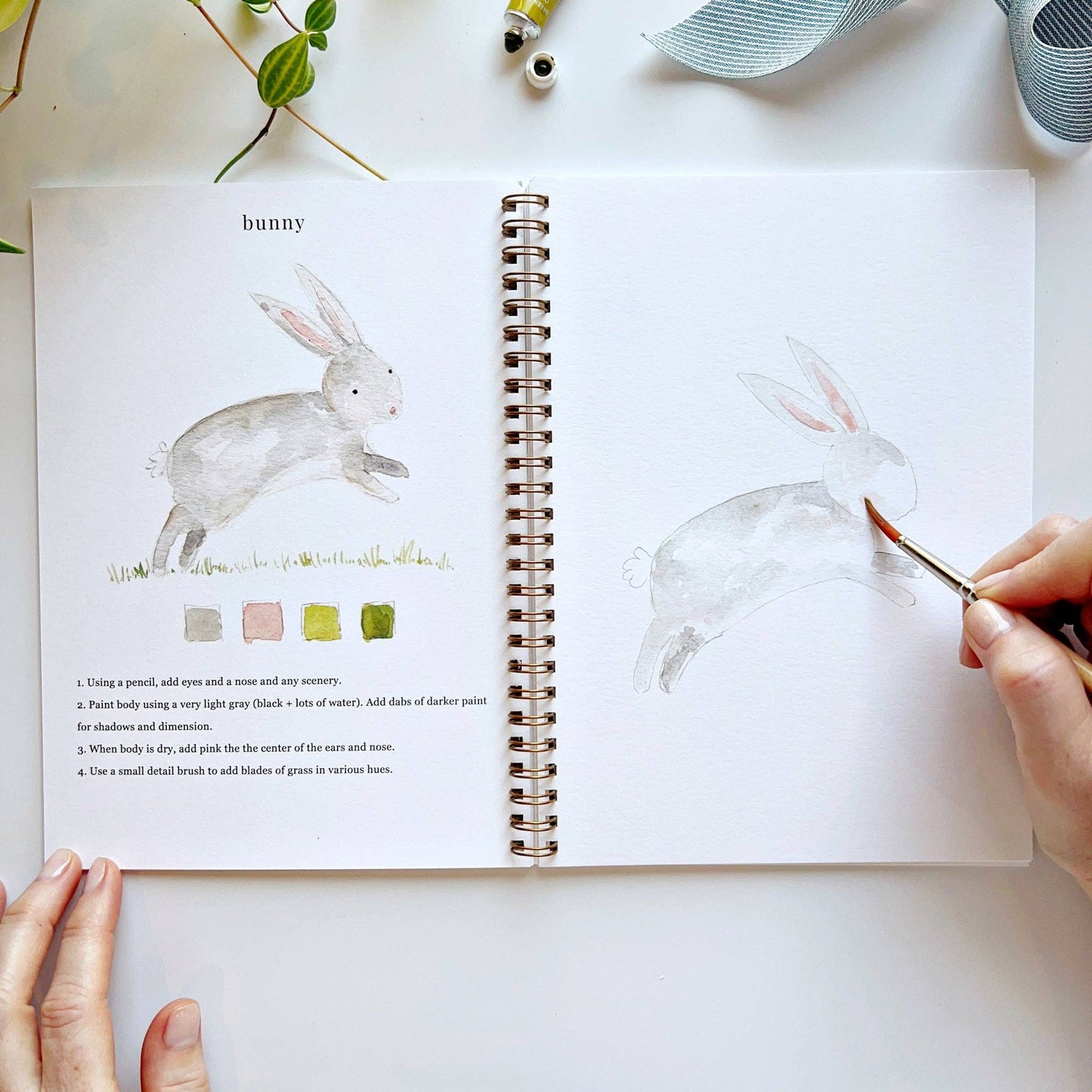Emily Lex - Watercolor Workbook - Animals