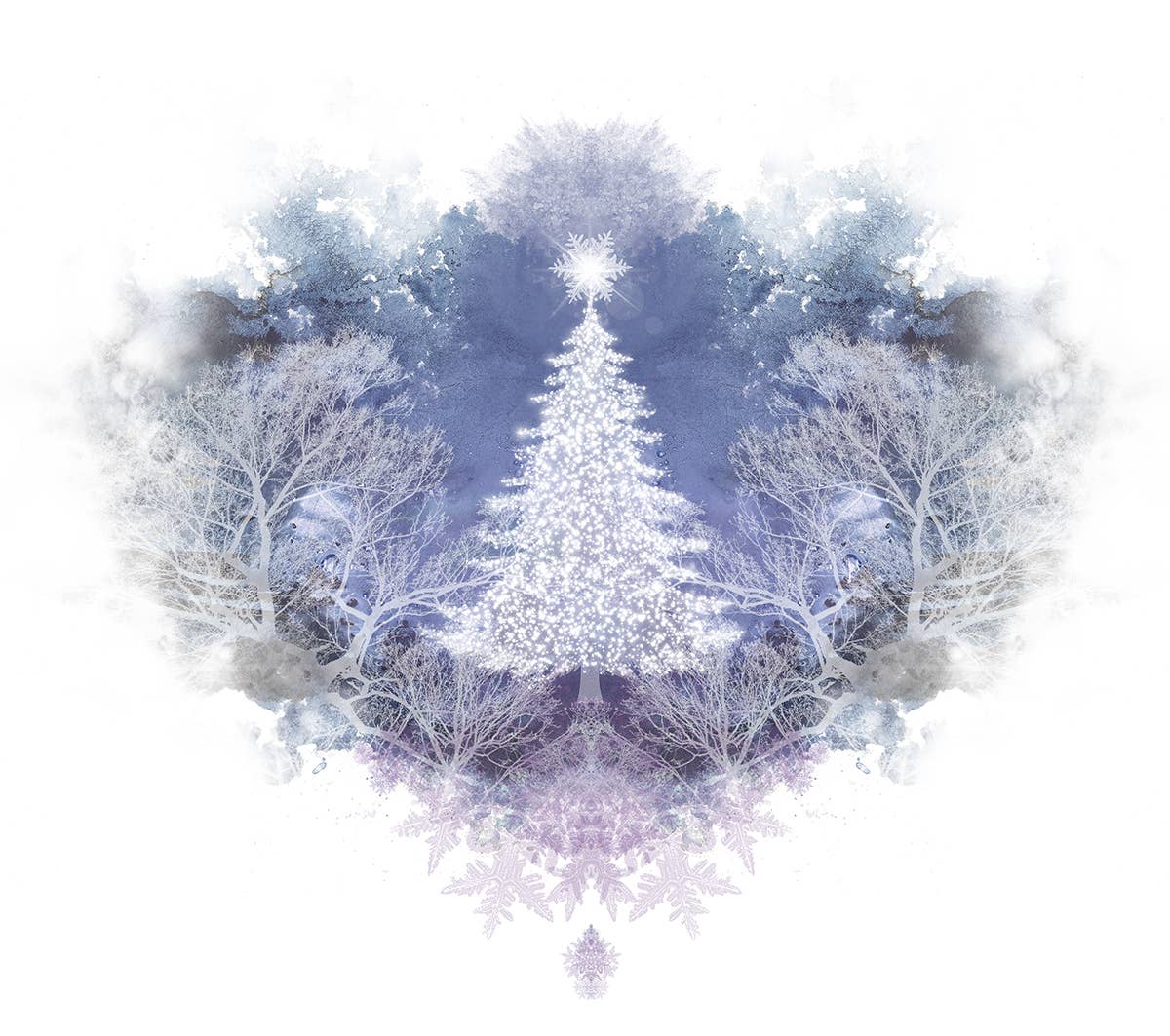 Starry Night - Holiday Card