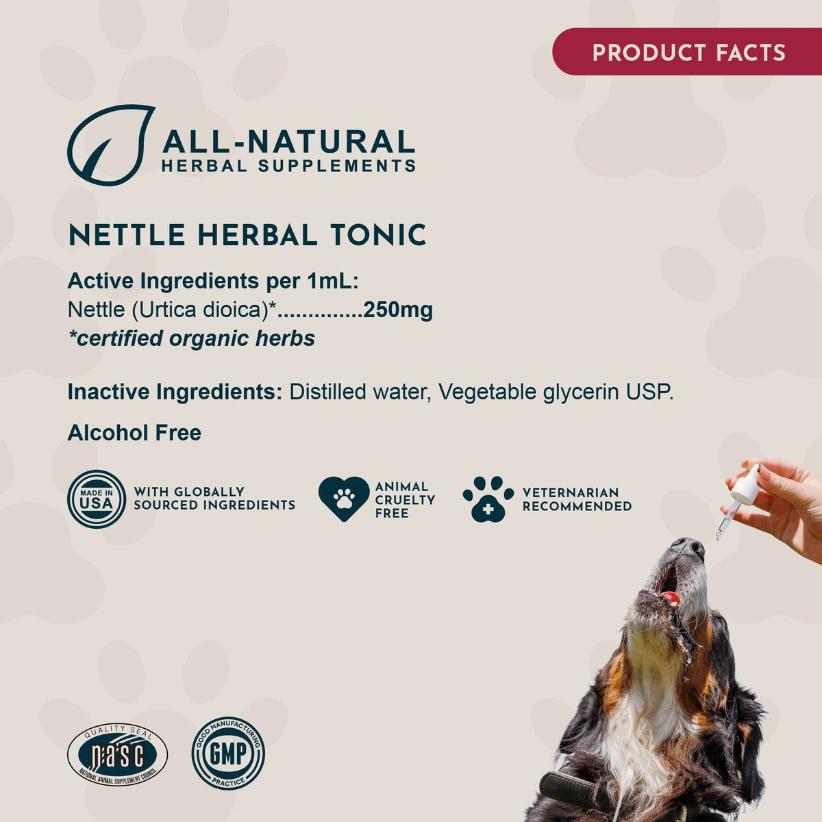 Nettle Herbal Tonic | Allergy Support: 1oz