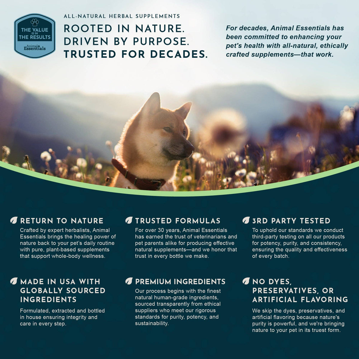 Seasonal Allergy Herbal Tonic | Maintains Normal Histamine Levels: 1oz