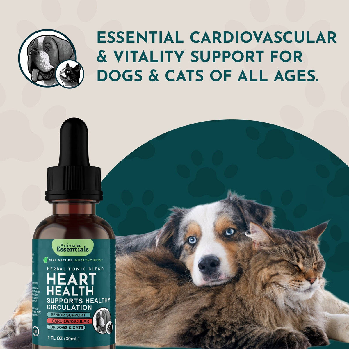 Heart Health Herbal Tonic Blend | Supports Cardiovascular Function: 1oz