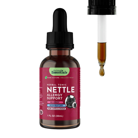 Nettle Herbal Tonic | Allergy Support: 1oz