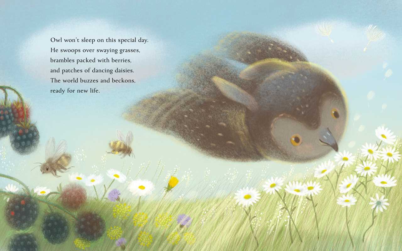 Summer by Kelsey E. Gross: Hardcover; 36 pages / English