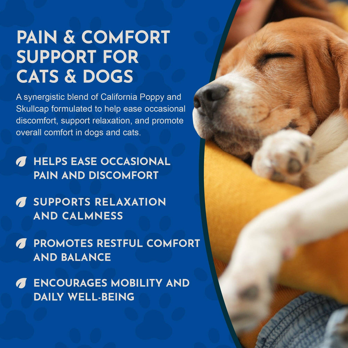 Comfort Plus Herbal Tonic Blend | Manages Discomfort & Stress: 1oz