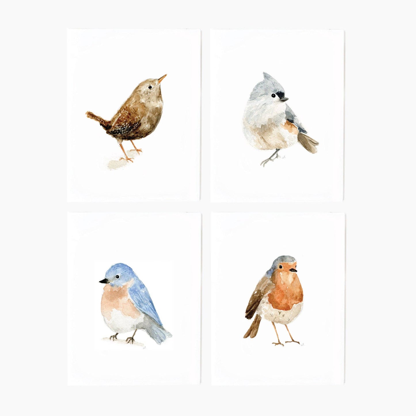 Emily Lex - Birds assorted notecard set