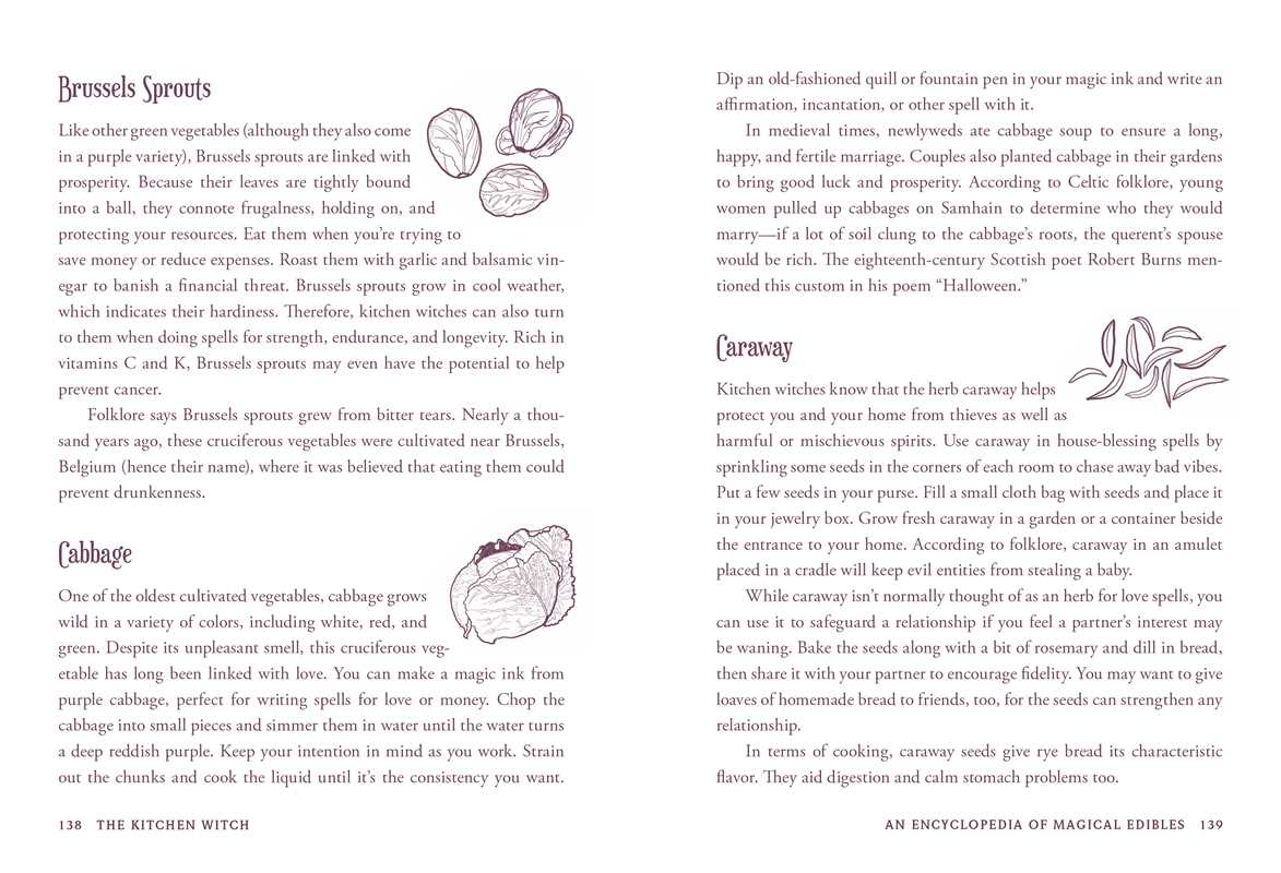 Kitchen Witch by Skye Alexander: Hardcover; 288 pages / English