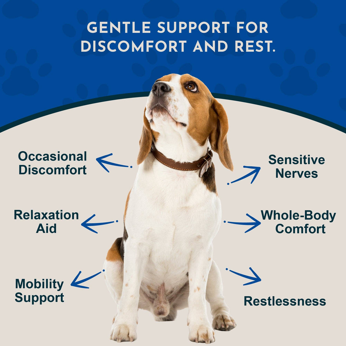 Comfort Plus Herbal Tonic Blend | Manages Discomfort & Stress: 1oz