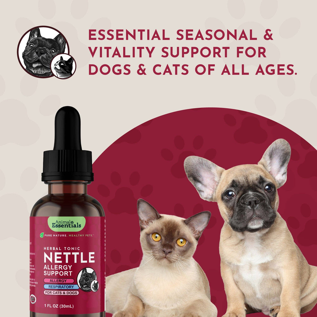Nettle Herbal Tonic | Allergy Support: 1oz
