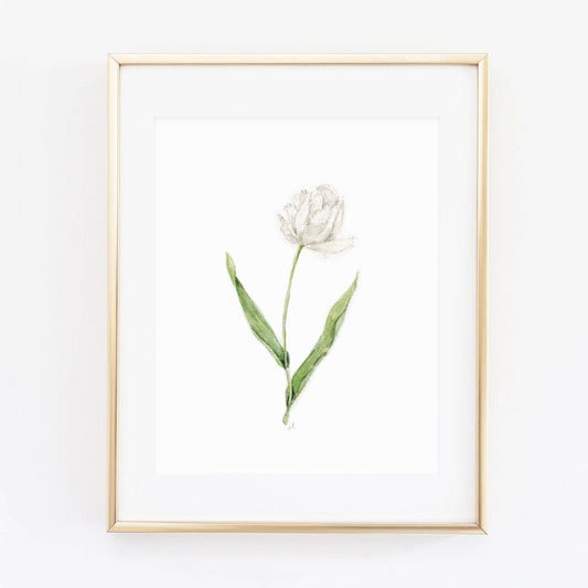 White tulip art print
