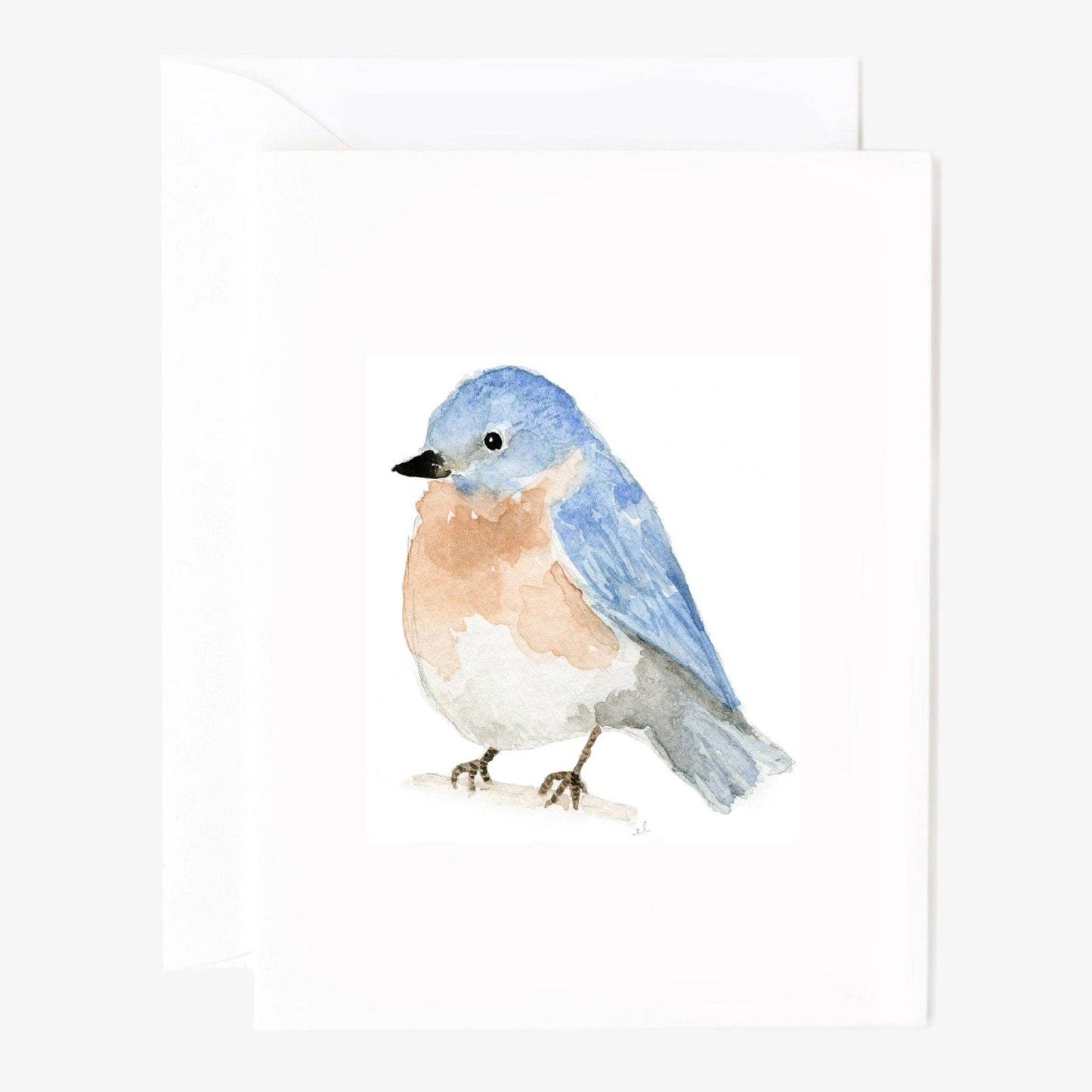 Emily Lex - Birds assorted notecard set