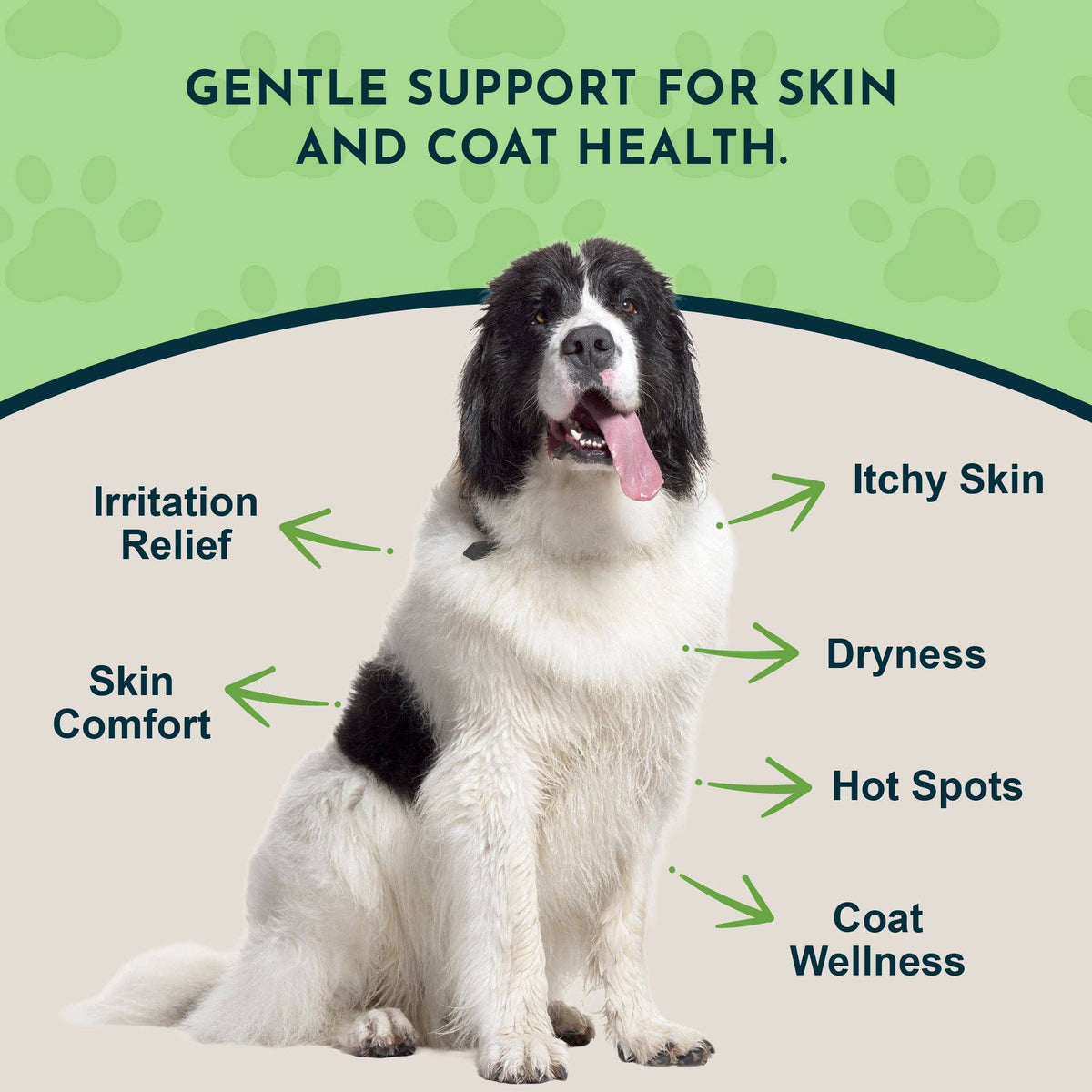 FidoDerm Skin Spray | Soothes & Speeds Healing Fast