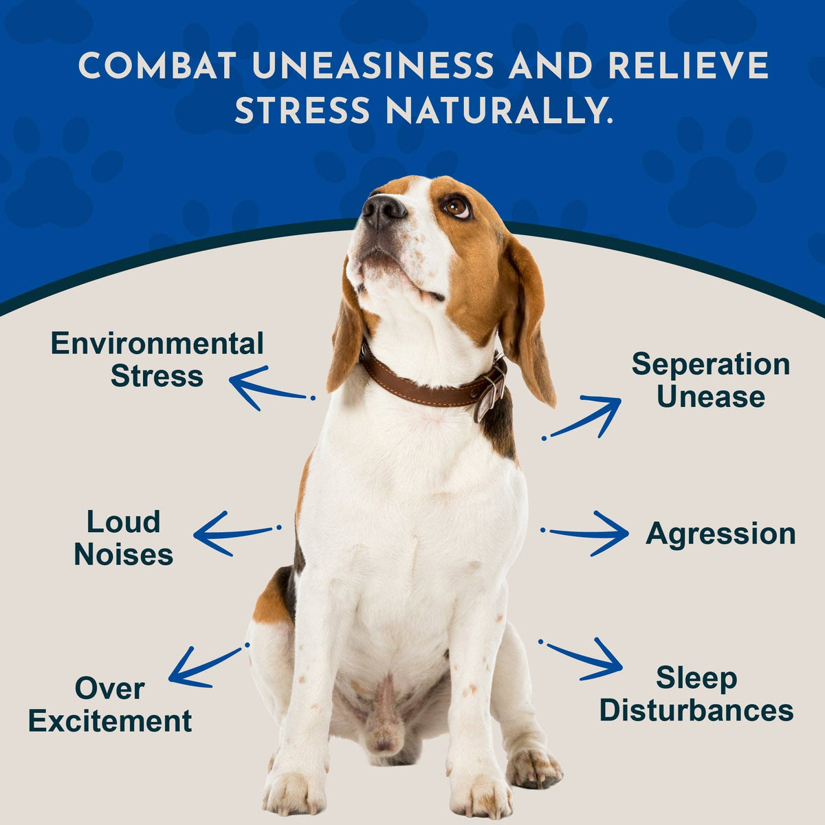 Tranquil Times Herbal Tonic Blend | Stress and Calm: 1oz