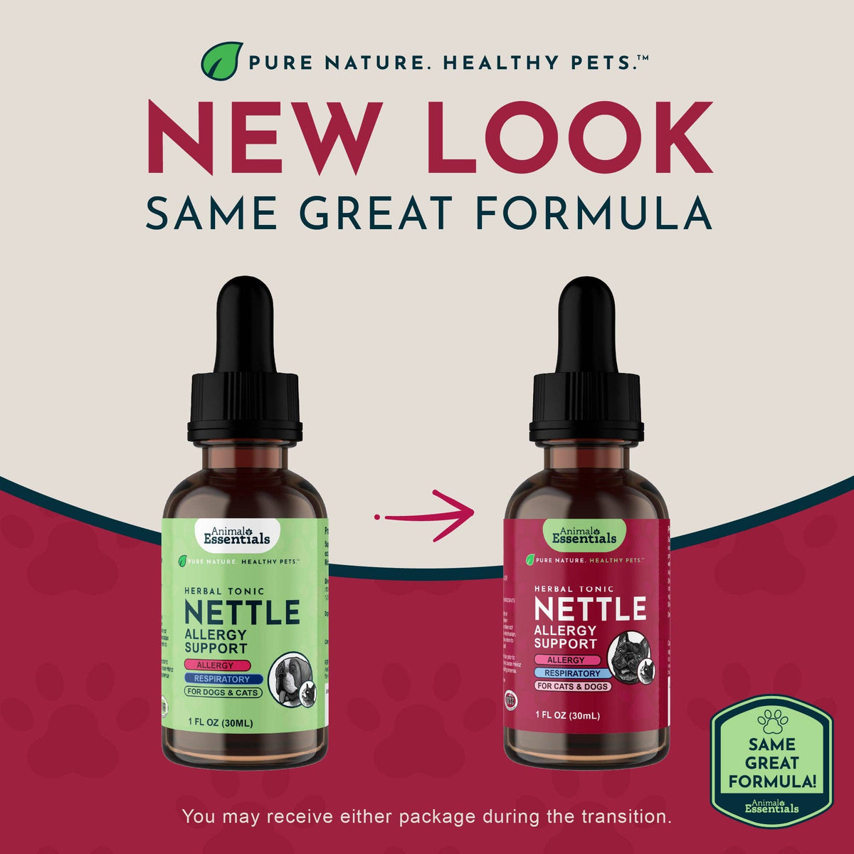 Nettle Herbal Tonic | Allergy Support: 1oz