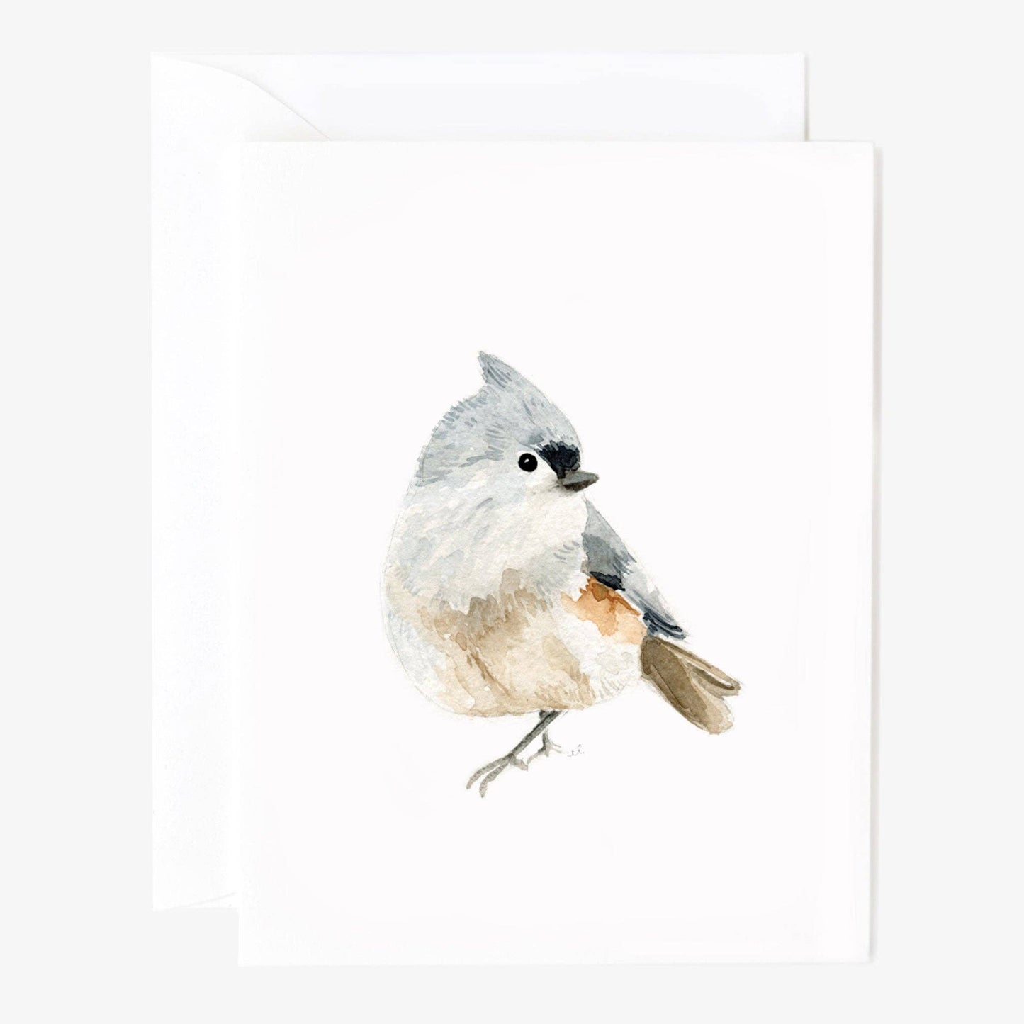 Emily Lex - Birds assorted notecard set