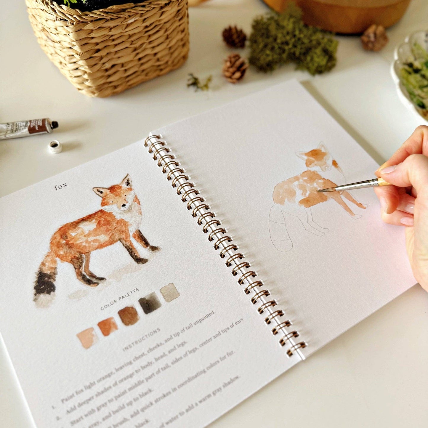 Emily Lex - Woodland watercolor workbook