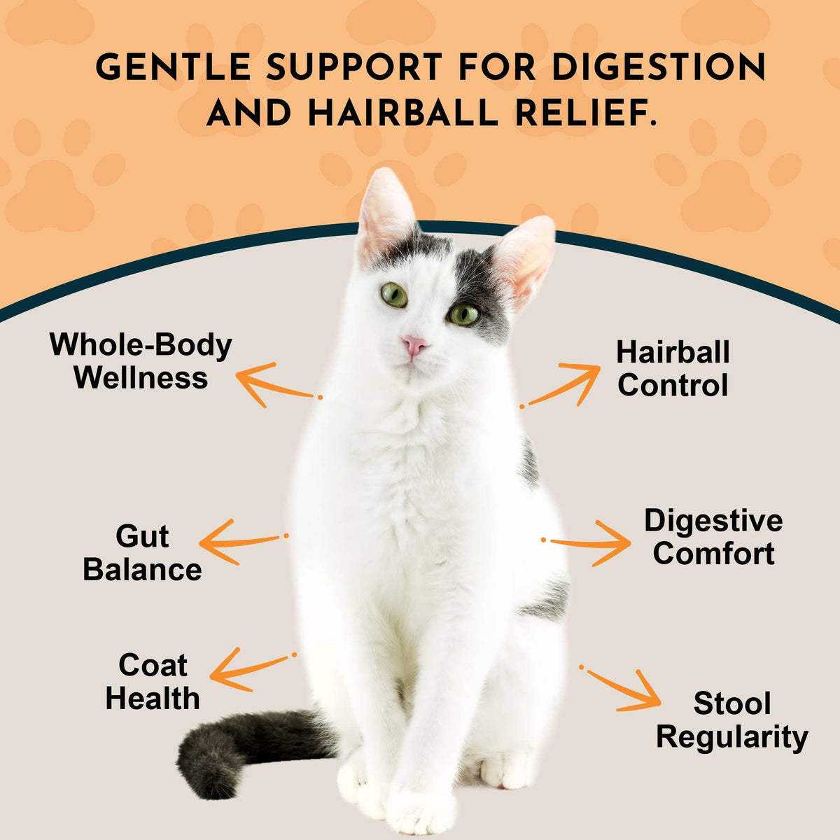 Hairball Relief Single Herb Tonic | Marshmallow Root | Prevent & Remove Hairballs: 1oz