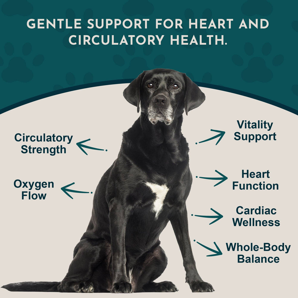 Heart Health Herbal Tonic Blend | Supports Cardiovascular Function: 1oz